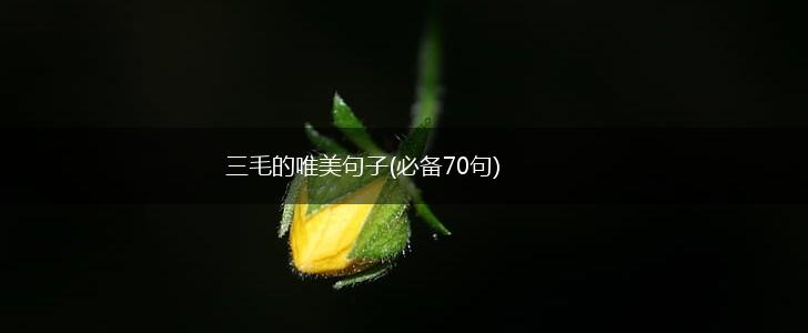 三毛的唯美句子(必备70句),第1张