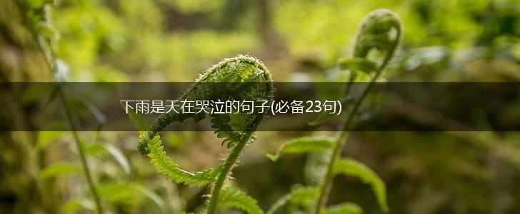下雨是天在哭泣的句子(必备23句),第1张