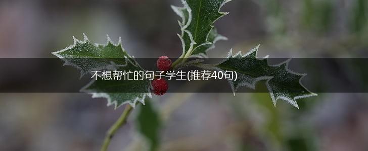 不想帮忙的句子学生(推荐40句),第1张