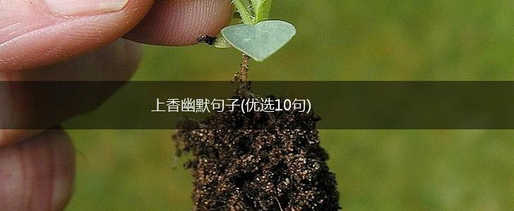 上香幽默句子(优选10句),第1张