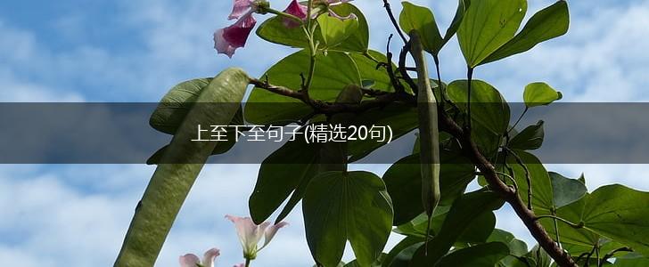 上至下至句子(精选20句),第1张