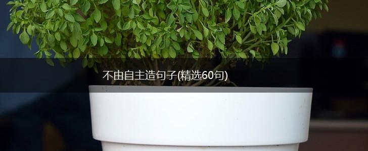不由自主造句子(精选60句),第1张