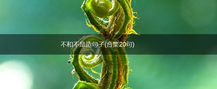 不和不是造句子(合集20句),第1张