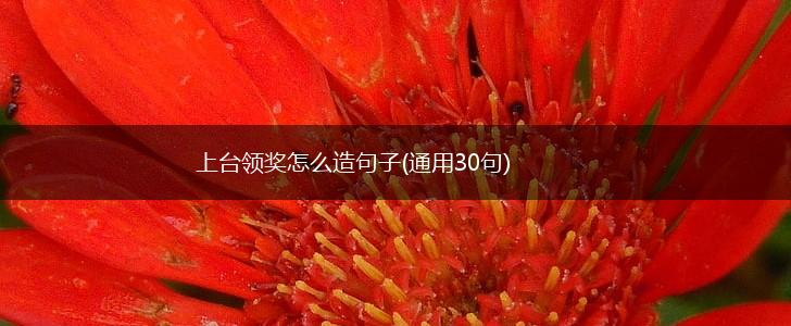 上台领奖怎么造句子(通用30句),第1张