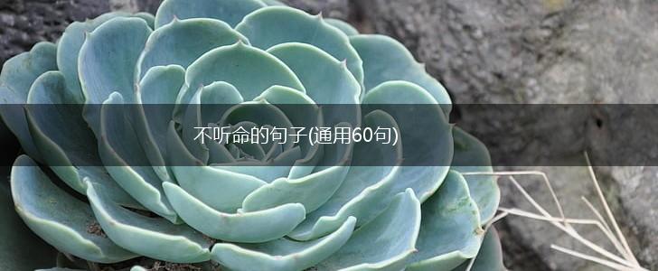不听命的句子(通用60句),第1张