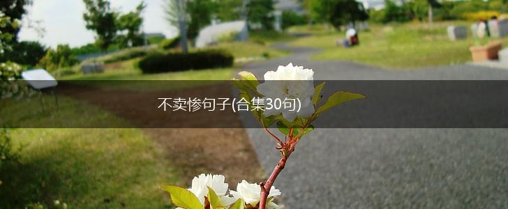 不卖惨句子(合集30句),第1张