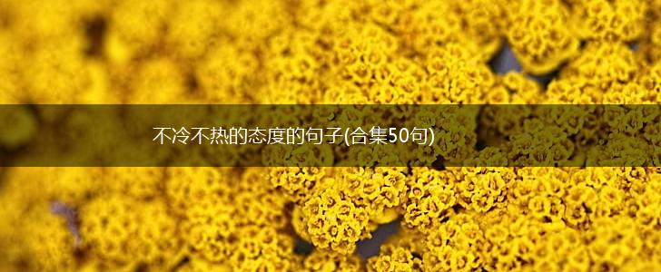 不冷不热的态度的句子(合集50句),第1张
