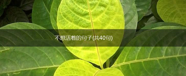 不想活着的句子(共40句),第1张