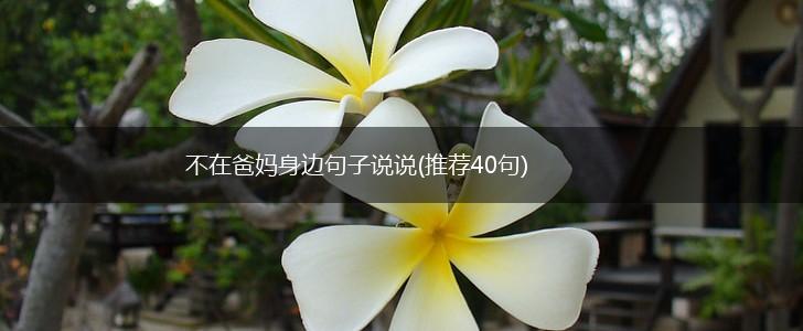 不在爸妈身边句子说说(推荐40句),第1张