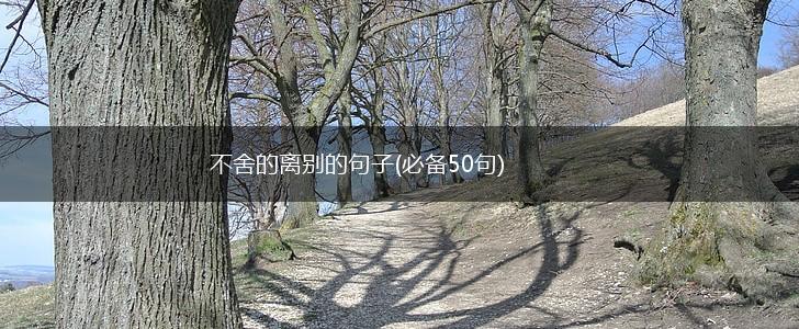 不舍的离别的句子(必备50句),第1张