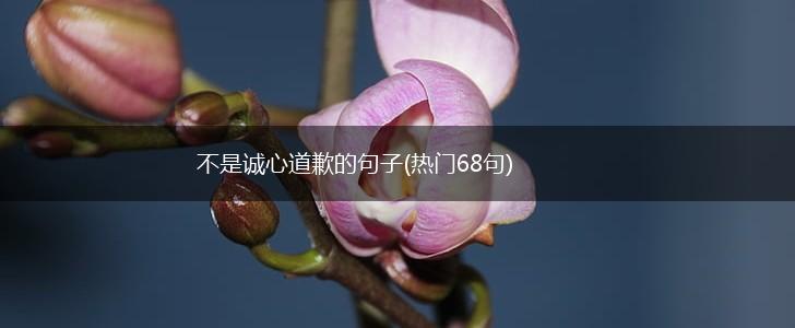 不是诚心道歉的句子(热门68句),第1张
