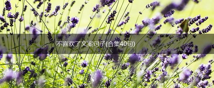 不喜欢了文案句子(合集40句),第1张