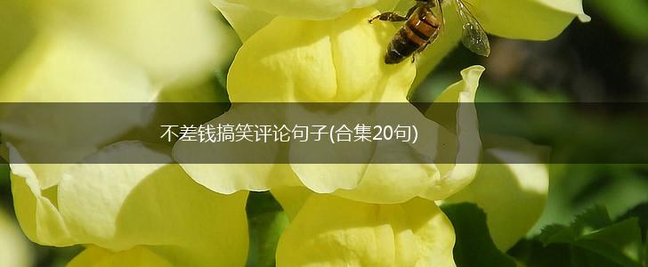 不差钱搞笑评论句子(合集20句),第1张