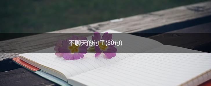 不聊天的句子(80句),第1张