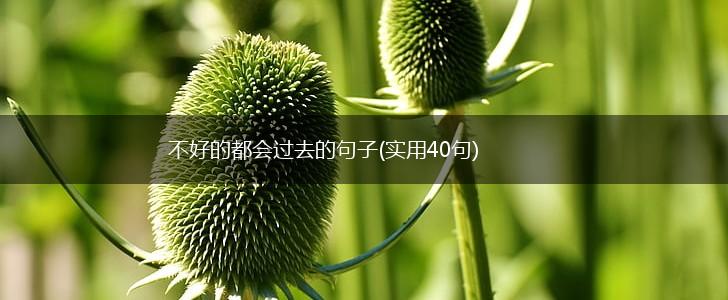 不好的都会过去的句子(实用40句),第1张