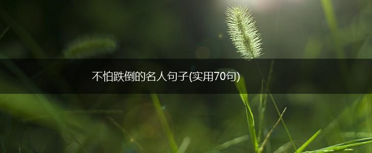 不怕跌倒的名人句子(实用70句),第1张
