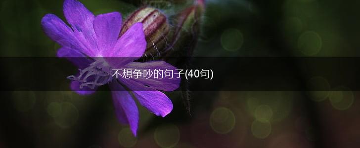 不想争吵的句子(40句),第1张 不想争吵的句子(40句),第1张