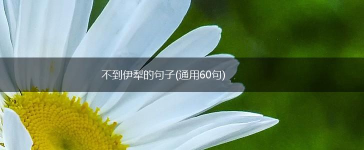 不到伊犁的句子(通用60句),第1张