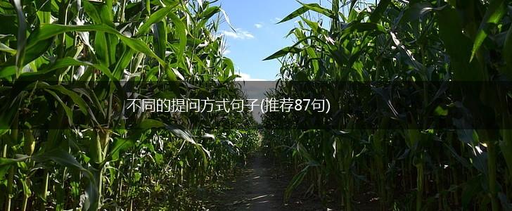 不同的提问方式句子(推荐87句),第1张