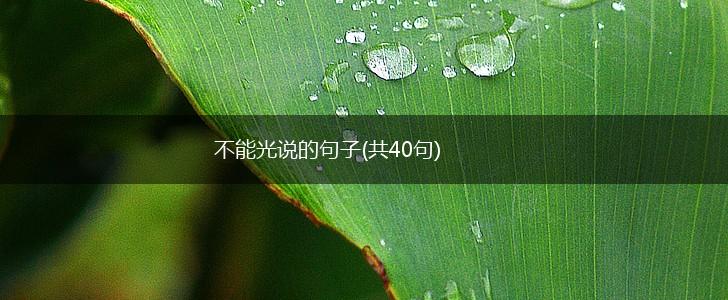 不能光说的句子(共40句),第1张
