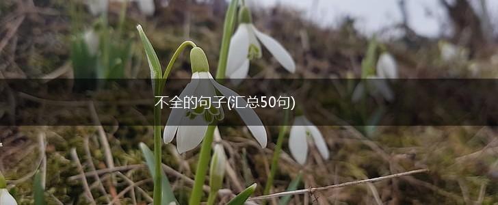 不全的句子(汇总50句),第1张