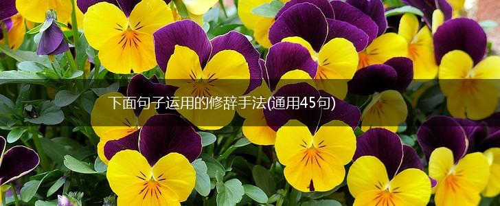 下面句子运用的修辞手法(通用45句),第1张