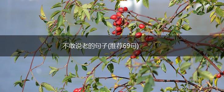 不敢说老的句子(推荐69句),第1张