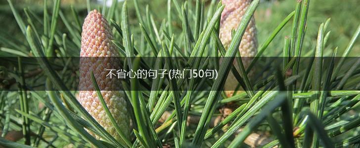 不省心的句子(热门50句),第1张