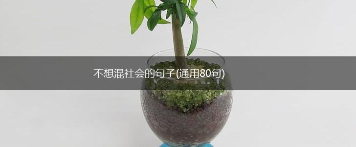 不想混社会的句子(通用80句),第1张