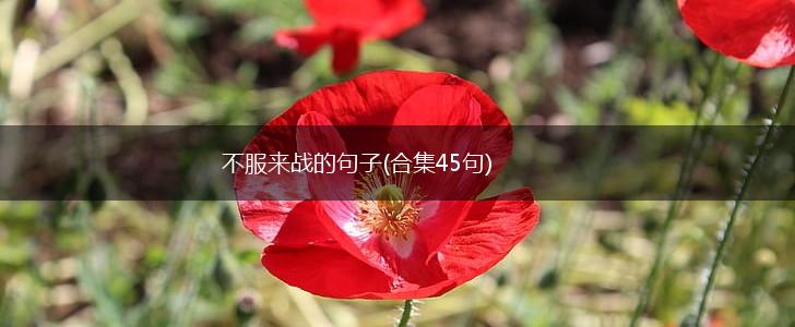 不服来战的句子(合集45句),第1张