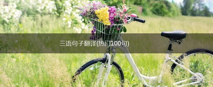 三语句子翻译(热门100句),第1张
