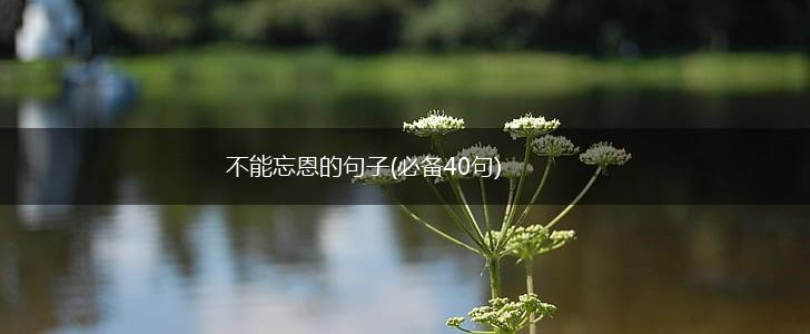 不能忘恩的句子(必备40句),第1张