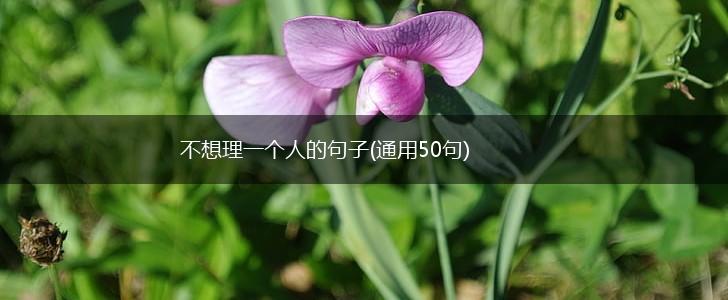 不想理一个人的句子(通用50句),第1张