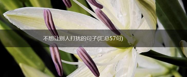 不想让别人打扰的句子(汇总57句),第1张