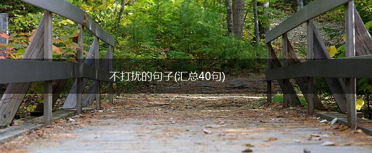 不打扰的句子(汇总40句),第1张