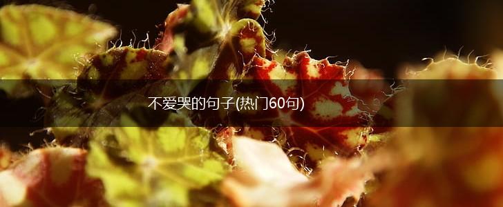 不爱哭的句子(热门60句),第1张