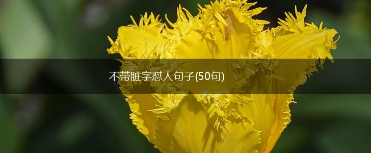 不带脏字怼人句子(50句),第1张