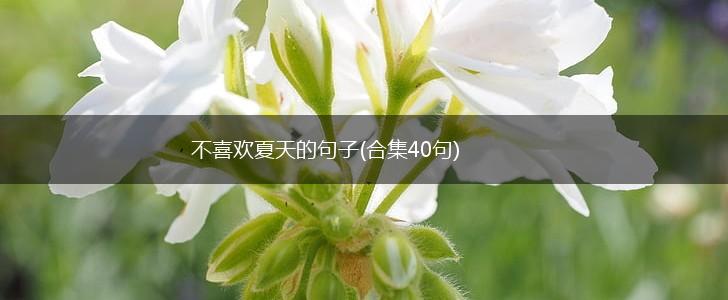 不喜欢夏天的句子(合集40句),第1张