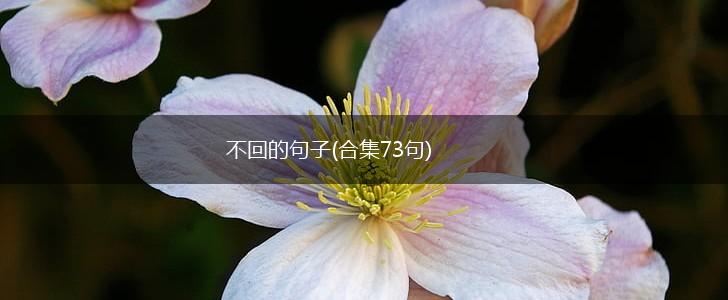 不回的句子(合集73句),第1张