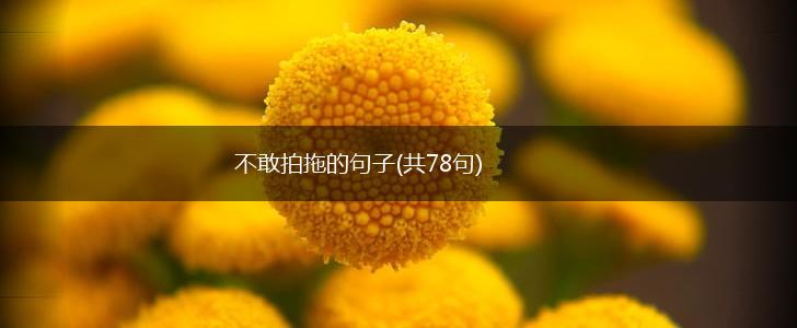 不敢拍拖的句子(共78句),第1张