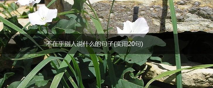 不在乎别人说什么的句子(实用20句),第1张