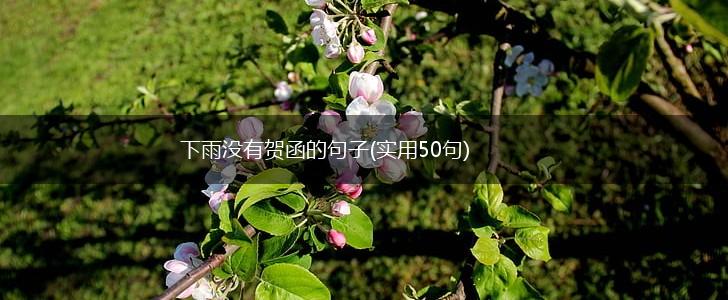 下雨没有贺函的句子(实用50句),第1张