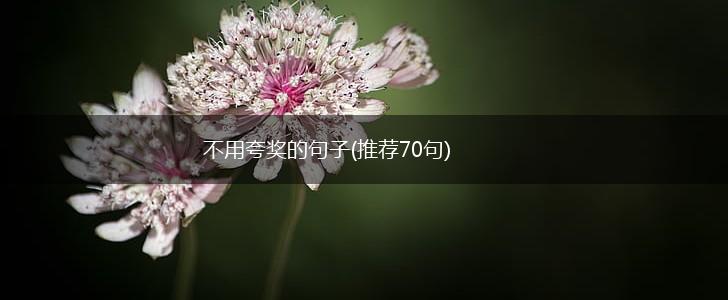 不用夸奖的句子(推荐70句),第1张