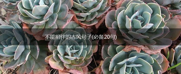 不能相伴的古风句子(必备20句),第1张