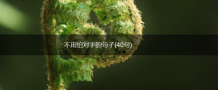 不用怕对手的句子(40句),第1张