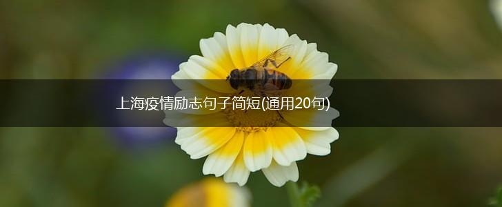 上海疫情励志句子简短(通用20句),第1张