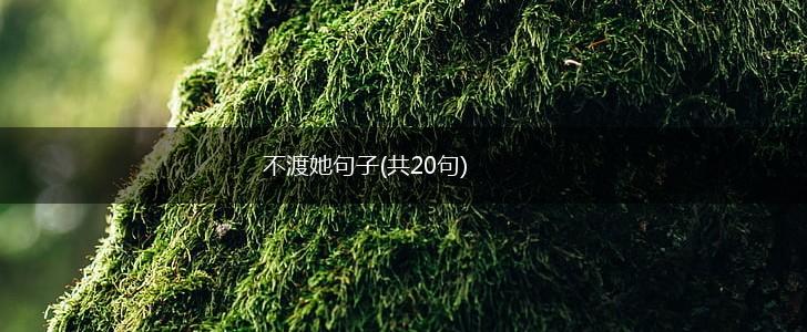 不渡她句子(共20句),第1张