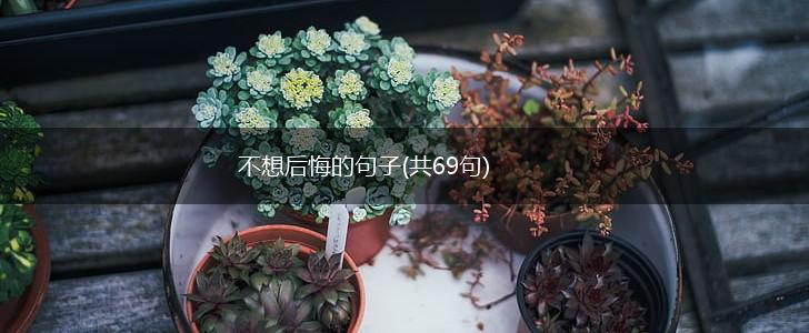 不想后悔的句子(共69句),第1张