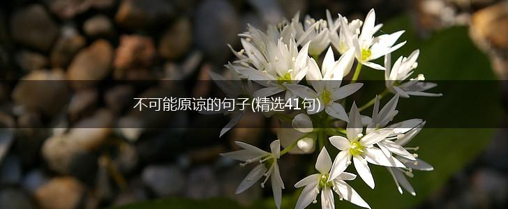 不可能原谅的句子(精选41句),第1张
