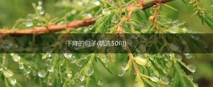 下降的句子(精选50句),第1张